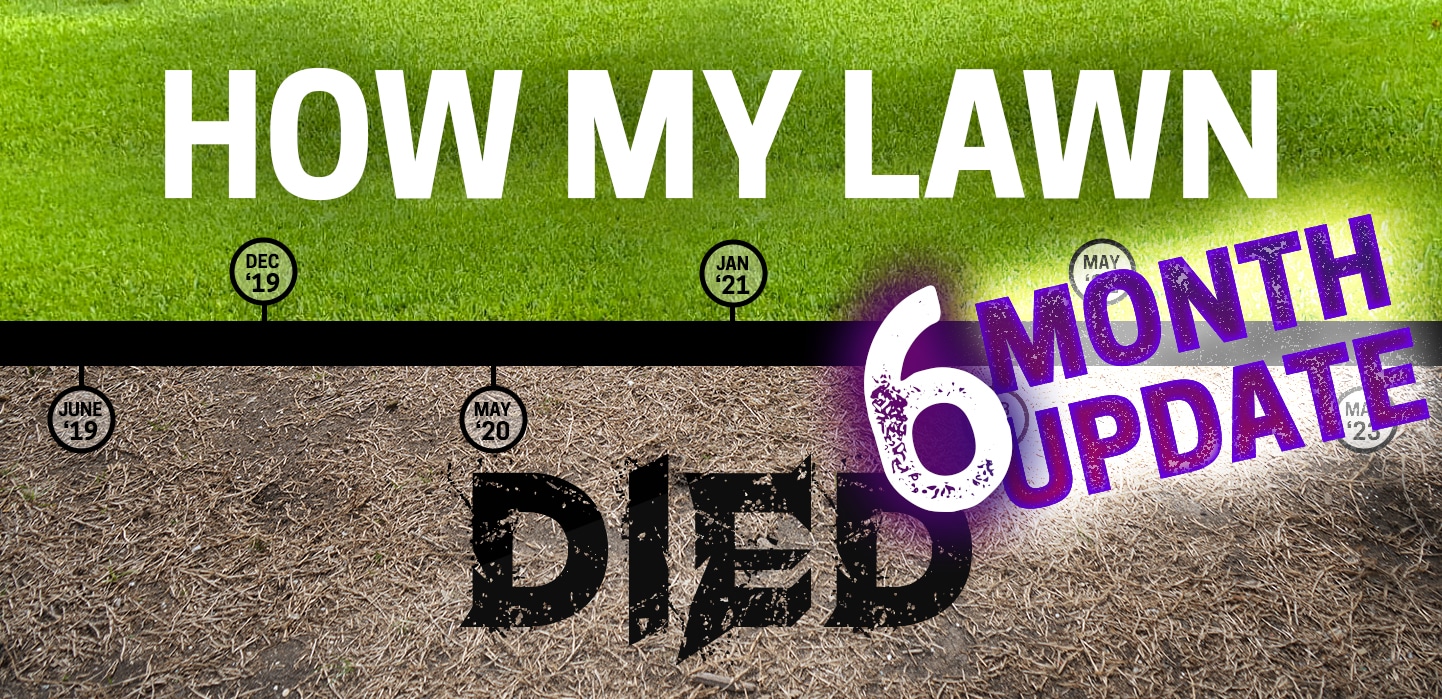 lawn-care-lawn-died-header-update-6