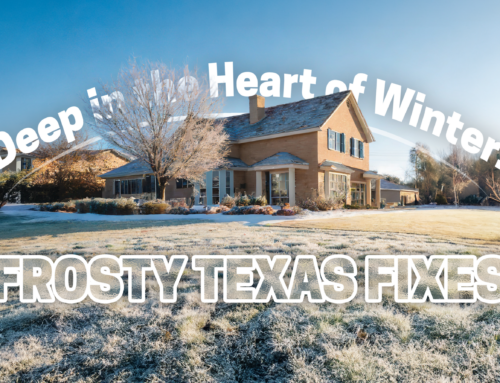 Deep in the Heart of Winter: Frosty Texas Fixes