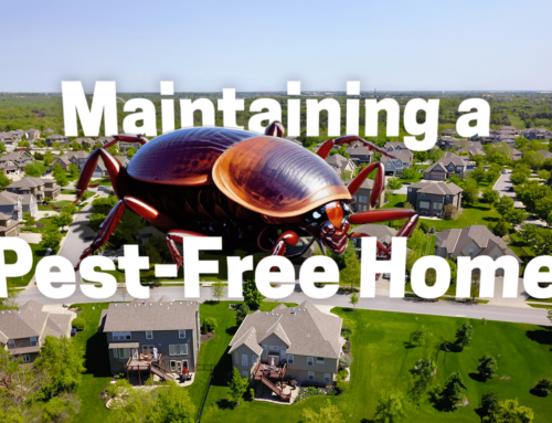 Maintaining a Pest-Free Home