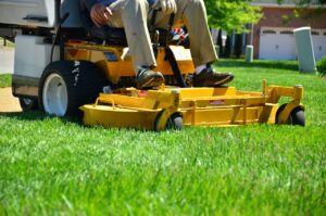 Cutting Grass for Heat Stress Lawns