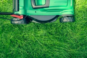 Nutrient Deficient Lawn Care